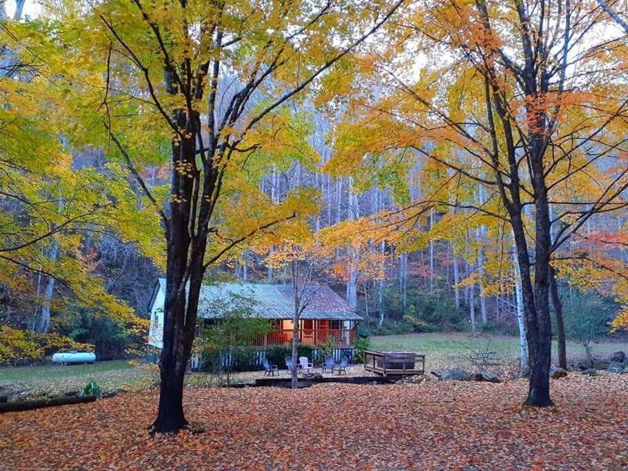Villa Creekside 1920'S Farmhouse Bryson City Exterior foto